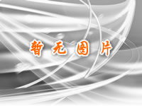 &#80;&#71;&#30005;&#23376;